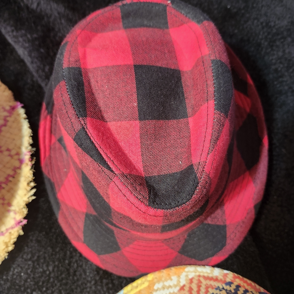 collection of fedora hats for women